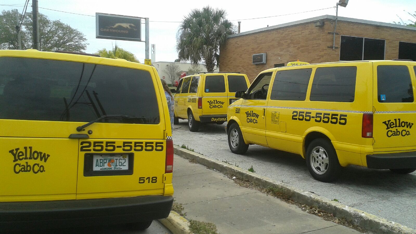 Grehound taxi stand Daytona Beach